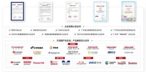 持續(xù)加強(qiáng)國產(chǎn)信創(chuàng)建設(shè) 思邁特軟件與SelectDB完成兼容互認(rèn)證，夯實(shí)基礎(chǔ)軟件服務(wù)