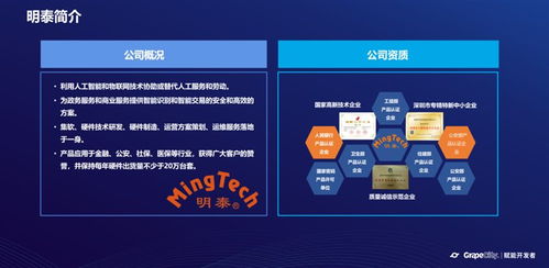 借助活字格低代碼開發(fā)平臺(tái) 激發(fā)自主成長能力的基礎(chǔ)軟件服務(wù)